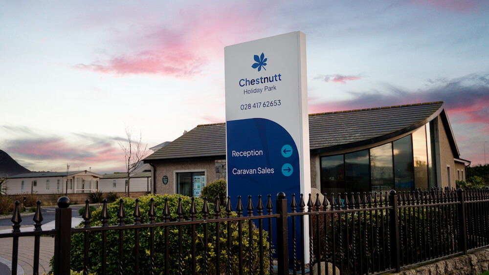 Check-In Guide Featured Image