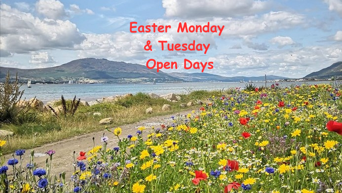 Chestnutt Holiday Parks Open Days Featured Image